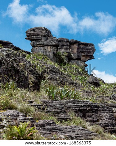 Bizarre ancient rocks of the plateau Roraima tepui - Venezuela, Latin America