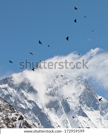 Black birds and snow flags on the top of the Lhotse (8516 m) - Mt. Everest region, Nepal