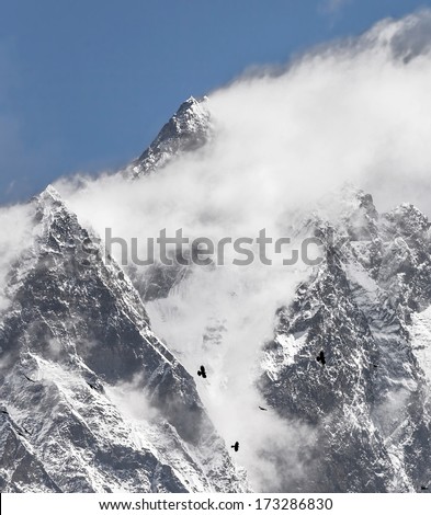 Black birds and snow flags on the top of the Lhotse (8516 m) - Mt. Everest region, Nepal