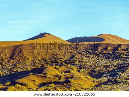 Dunes in Sossusvlei plato of Namib Naukluft National Park - Namibia, South-West Africa