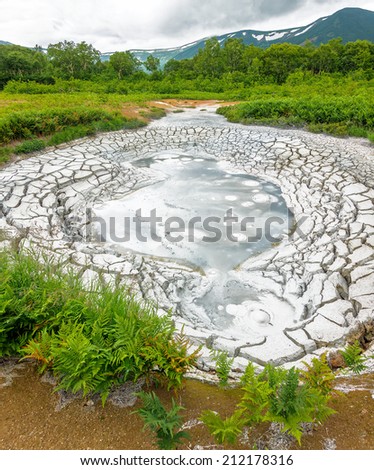 Mud cauldron in the volcanic caldera Uzon - Legendary Valley of Geysers, Kamchatka, Russia
