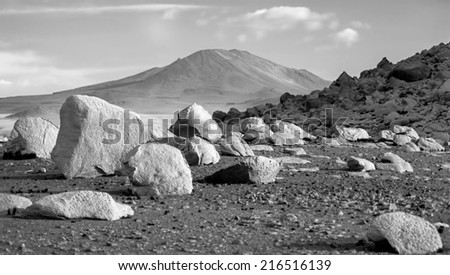 Highland desert plateau Altiplano, Bolivia (black and white)