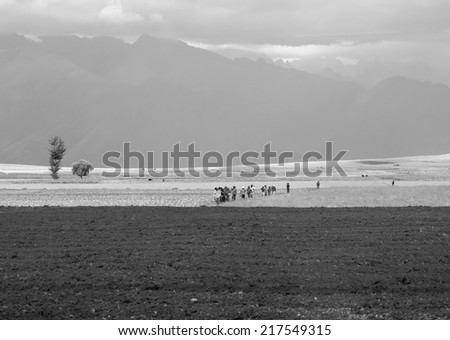 Farmers in the Sacred Valley of the Incas - Peru, Latin America (black and white)