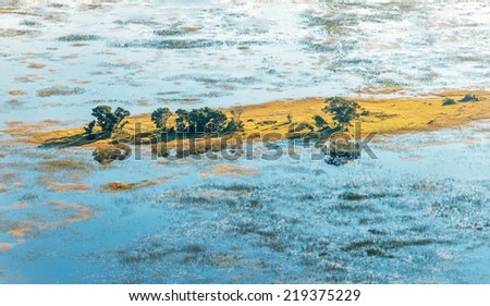 Okavango delta (Okavango Grassland) is one of the Seven Natural Wonders of Africa (view from the airplane) - Botswana