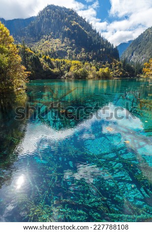 Azure lake with submerged tree trunks. Jiuzhaigou Valley was recognize by UNESCO as a World Heritage Site and a World Biosphere Reserve - China