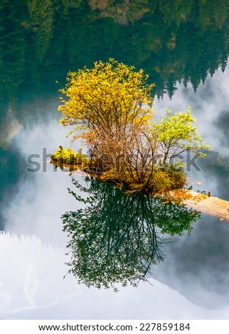 The lake with submerged tree trunks. Jiuzhaigou Valley was recognize by UNESCO as a World Heritage Site and a World Biosphere Reserve - China