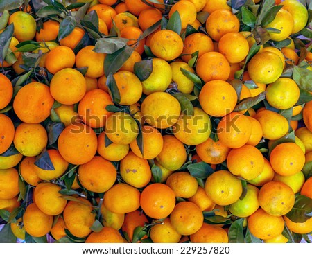The fresh tangerines oranges on market - Xingping, China