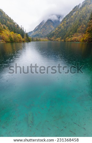 Azure lake with submerged tree trunks. Jiuzhaigou Valley was recognize by UNESCO as a World Heritage Site and a World Biosphere Reserve - China