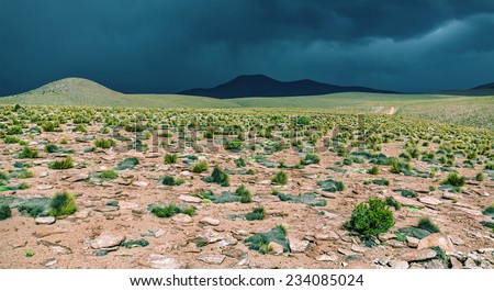 Desert plateau of the Altiplano in the bad weather, Bolivia