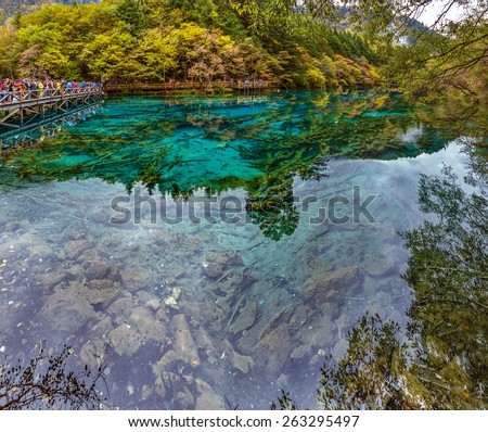 Nice lake with submerged tree trunks. Jiuzhaigou Valley was recognize by UNESCO as a World Heritage Site and a World Biosphere Reserve - China