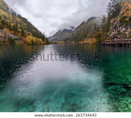 Foggy lake with submerged tree trunks in the rain. Jiuzhaigou Valley was recognize by UNESCO as a World Heritage Site and a World Biosphere Reserve - China
