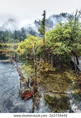 Nice lake with submerged tree trunks in the rain. Jiuzhaigou Valley was recognize by UNESCO as a World Heritage Site and a World Biosphere Reserve - China