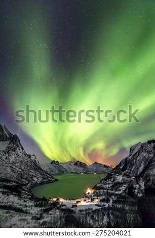 Aurora borealis (Polar lights) over the mountains in the North of Europe - Mefjord, Lofoten islands, Norway