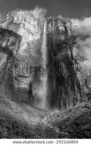 Morning view of the Angel Falls ( Salto Angel ) is worlds highest waterfalls (978 m) - Venezuela , Latin America (black and white)