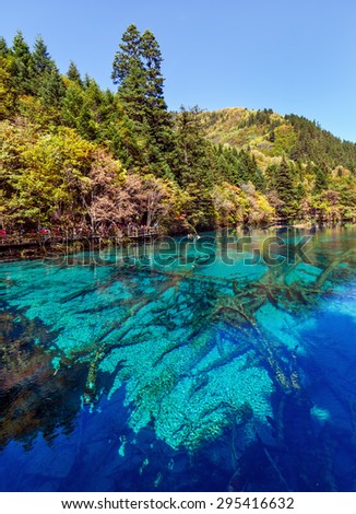 Lake with submerged tree trunks. Jiuzhaigou Valley was recognize by UNESCO as a World Heritage Site and a World Biosphere Reserve - China