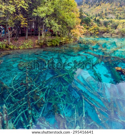 Lake with submerged tree trunks. Jiuzhaigou Valley was recognize by UNESCO as a World Heritage Site and a World Biosphere Reserve - China