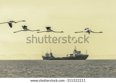 A flock of flamingos flying over the coast of the ocean in Namibia (stylized retro)