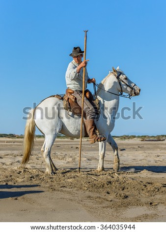 PROVENCE, FRANCE - 07 MAY, 2015: Groom shows White Camargue Horse in the swamp nature reserve in Parc Regional de Camargue - Provence, France