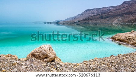 Curved shore of the Dead sea - Israel