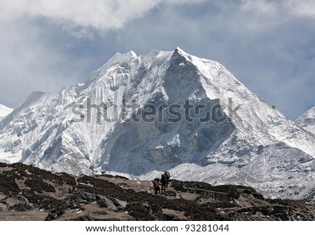 Porters near Island peak (6189 m) in district Mt. Everest - Nepal, Himalayas
