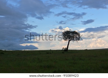 The sky above the savannah after the storm on the Masai Mara National Reserve - Kenya