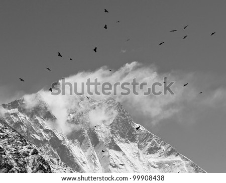 Black birds and snow flags on the top of the Lhotse (8516 m), black and white - Mt. Everest region, Nepal