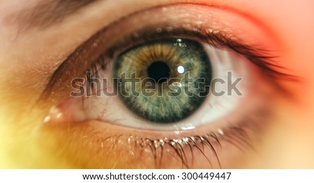 Beautiful female eye macro. Art highlights.