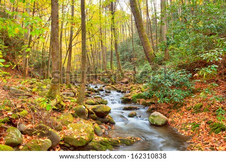 Roaring Fork Creek cascades through a lush forest and mossy boulders, Great Smoky Mountains National Park, Tennessee