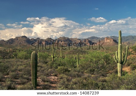 Superstition Desert