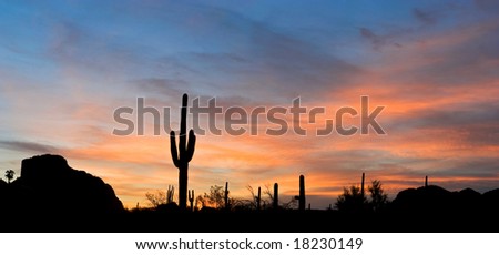 stock photo : Saguaro silhouette in red sunset lit clouds.