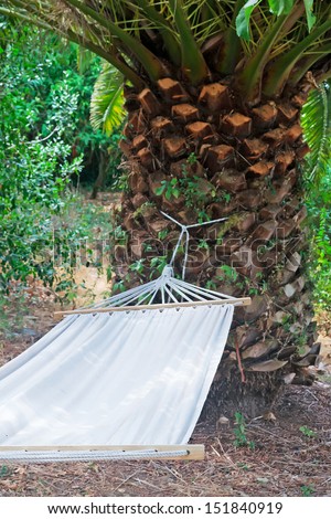 white hammock tied to a palm tree