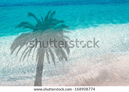 palm shadow over turquoise water in the foreshore