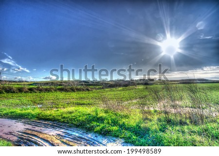 lens flare on a country road