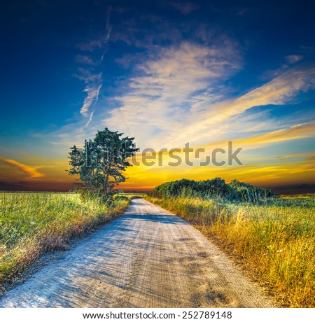 dirt road at sunset on a summer day. Shot in Sardinia, Italy