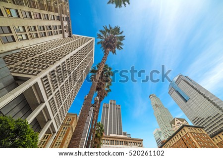 palm trees in Downtown Los Angeles, California