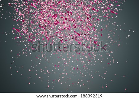 Pink flower petals failing down on dark background