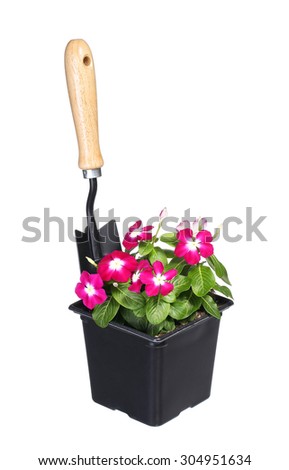 flowers pot with garden tool isolated on white background
