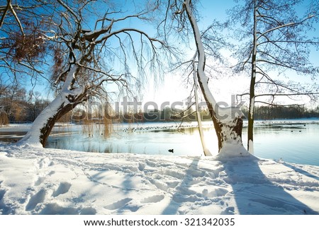 Winter scene in Belgium by the lake - sun reflection on the ice covered lake.