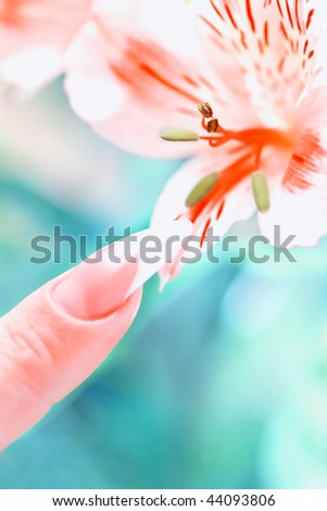 Finger with long acrylic fingernail and beautiful manicure touch a flower over blue background