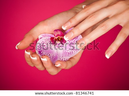 Human fingers with classic french-style manicure touching orchid over pink background