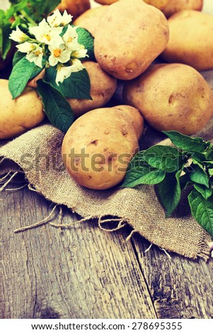 potato with leaves and flowers on a wooden background in rustic style. harvest potatoes (toning)
