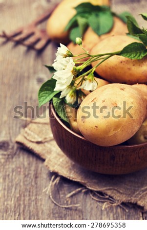 potato with leaves and flowers on a wooden background in rustic style. harvest potatoes (toning)