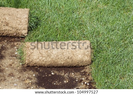 Grass Carpet Rolls Peeled from Soil