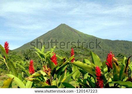 Arenal Volcano in Costa Rica with Red Flowers