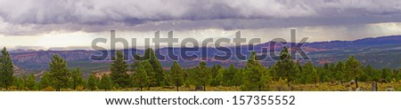 Panorama, morning thunderstorms over desert mountains with desert conifers in foreground, near Capitol Reef National Park, Utah
