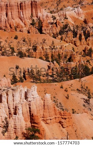 Elaborately eroded pinnacles and hoodoos in muted colors,  in the canyon of Bryce Canyon National Park, Utah