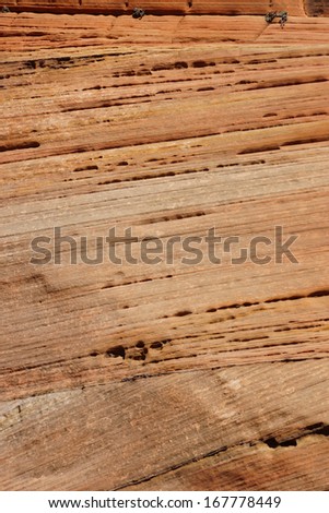 Detail, cross current layers of red sandstone, created from fossilized dunes and shifting winds over millions of years, Zion National Park, Utah