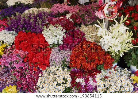 Colorful spring flowers  in a garden market in Taksim Square  in Istanbul, Turkey