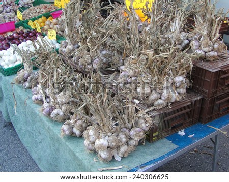Garlic heads for sale  at weekly market in Malaucene, France