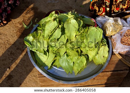 Betel leaves for making  paan, at the central market, Kyaukme, Myanmar (Burma)